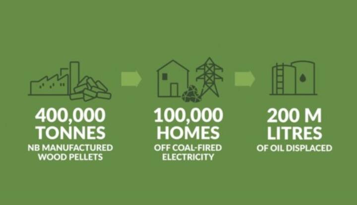 全球48%的木屑顆粒消費(fèi)來自住宅和商業(yè)建筑。從2020年到2021年，歐洲家庭生物質(zhì)消費(fèi)量增長了18%，商業(yè)應(yīng)用增長了12.5%。