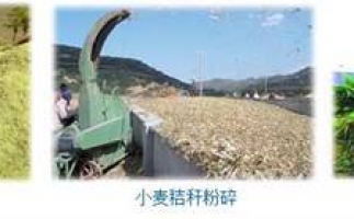 農(nóng)民科學(xué)發(fā)展新思路，秸稈綜合利用成為賺錢(qián)好門(mén)路之秸稈顆粒機(jī)