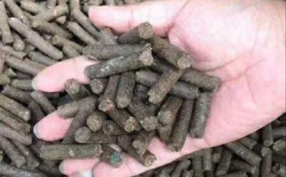 水果渣越來越受歡迎，因為它的出現(xiàn)—生物質(zhì)顆粒機設(shè)備