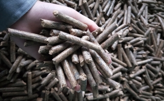 鋸末顆粒機(jī)顆粒，一種快速增長(zhǎng)的能源載體