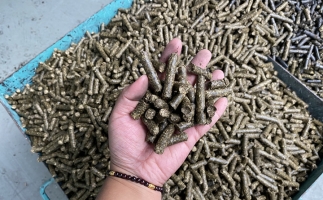木屑顆粒機(jī)廠家告訴你生物質(zhì)顆粒燃料燃燒不充分的問(wèn)題，該如何解決?