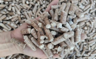 木材加工廠木屑堆積如山，環(huán)保部門令趕緊處理怎么辦？有它就夠了