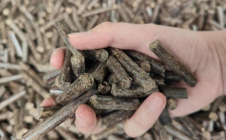 煤炭熱值那么高，為什么還要燒鋸末顆粒機(jī)的生物質(zhì)顆粒燃料？